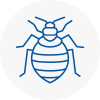 Bed Bug Extermination In Wantage