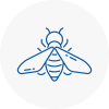 Bee Nest Removal Wantage