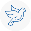 Bird Prevention Wantage