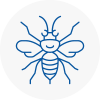 Wantage Hornet Nest Removals