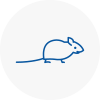 Mice Exterminators In Wantage