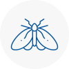 Moth Control Specialists In Wantage