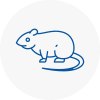 Rat Control Wantage