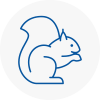 Wantage Rodent Removals