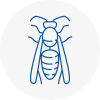 Wantage Wasp Nest Removal
